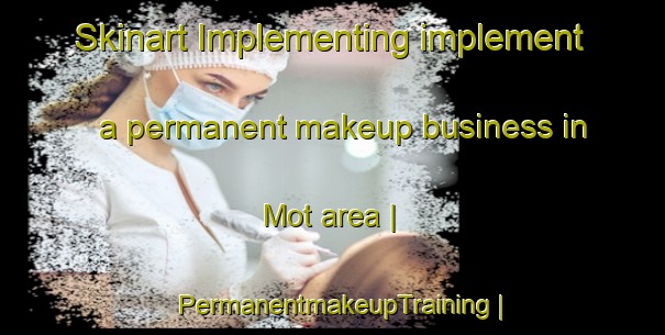 Skinart Implementing implement a permanent makeup business in Mot area | PermanentmakeupTraining | PermanentmakeupClasses | SkinartTraining-United States